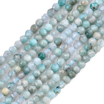 Natural Russia Amazonite Beads Strands, Faceted, Round, 2~2.5mm, Hole: 0.3mm, about 165pcs/strand, 14.9 inch