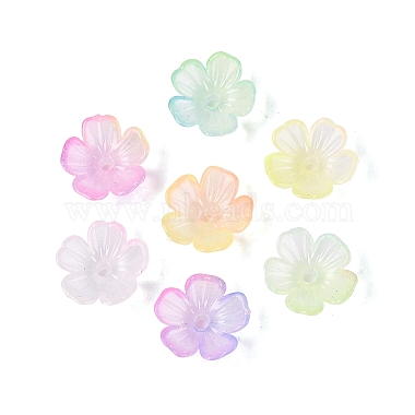Transparent Plastic Bead Caps(KY-Q005-02A-M01)-2