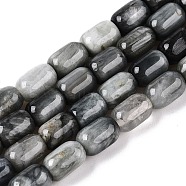 Natural Eagle Eye Stone Beads Strands, Column, 9~9.5x6mm, Hole: 0.9~1mm, about 42~43pcs/strand, 15.24~15.8''(38.7~39.5cm)(G-G980-43)