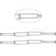 304 Stainless Steel Paperclip Chains, Drawn Elongated Cable Chains, Soldered, with Spool, Stainless Steel Color, Links: 21.5x6x1mm, about 32.8 Feet(10m)/roll(CHS-L022-02C)