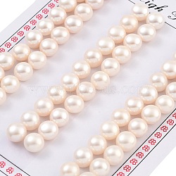 Grade 6A Natural Cultured Freshwater Pearl Beads, Half Drilled, Half Round Beads, White, 7.5~8x5.5mm, Hole: 1mm(PEAR-N018-6A-7580A)