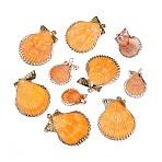 Electroplate Natural Scallop Shell Pendants, Shell Shape Charms, with Iron Loops and Brass Findings, Light Gold, Orange, 19~33x14~27x3~7mm, Hole: 1.5~1.8mm(SSHEL-Q100-20KCG)