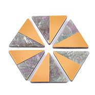 Resin Cabochons, Triangle, Sandy Brown, 26x30x2.5~3mm(CRES-S360-02D)