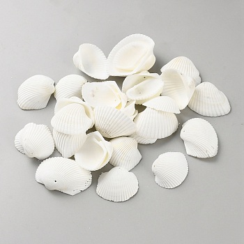 Natural Shell Pendants, Shell Shape Charms, Floral White, 32~47x40~57x14.5~20mm, Hole: 1.4~1.5mm, aboout 51pcs/500g