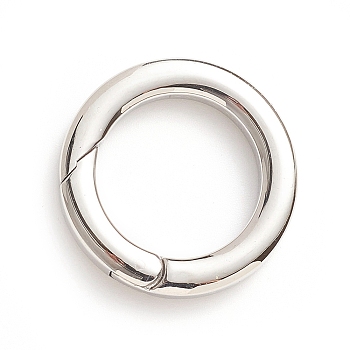 304 Stainless Steel Spring Gate Rings, O Rings, Stainless Steel Color, 6 Gauge, 25.5x4mm, Inner Diameter: 17.5mm