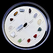 Natural Gemstones Nuggets Collections, Energy Stone Clock Display Decoration, for Earth Science Teaching, Box: 110x110x15mm, Gemstone: 6~15mm & 20~50mm, 15pcs/box(G-F734-06)