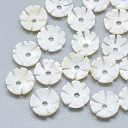 Freshwater Shell Beads, Flower, Seashell Color, 9x3mm, Hole: 1.5mm(SHEL-S275-041)