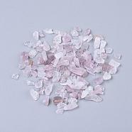 Natural Rose Quartz Chip Beads, No Hole/Undrilled, 2~8x2~4mm, about 340pcs/20g(X-G-O103-12)