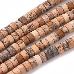Natural Picture Jasper Beads Strands, Flat Round/Disc, 4x2mm, Hole: 0.7mm, about 154pcs/strand, 15.43 inch(39.2cm)(G-F631-A27)