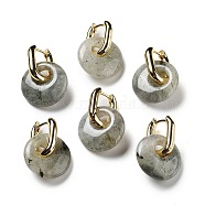Rack Plating Brass Hoop Earrings, with Natural Labradorite, Long-Lasting Plated, Cadmium Free & Lead Free, Donut/Pi Disc, 27mm(EJEW-M248-01G-03)