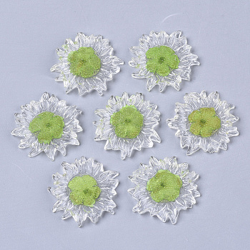 Transparent Clear Epoxy Resin Cabochons, with Dried Flower Inside, Flower, Yellow Green, 32~35x6mm
