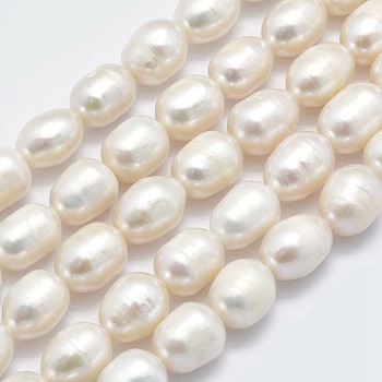 Natural Cultured Freshwater Pearl Beads Strands, Oval, Floral White, 8~9x7~8mm, Hole: 0.8mm, Hole: 0.8mm, about about 34pcs/strand, 13.78 inch(35cm)