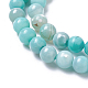 Natural Dyed Agate Imitation Turquoise Beads Strands(G-P425-02A-6mm)-3