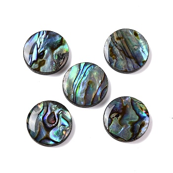Natural Paua Shell Epoxy Resin Cabochons, Flat Round, 12.5x2.5mm
