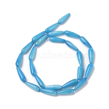 Natural Freshwater Shell Beads Strands(SHEL-A004-03C)-2