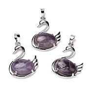 Natural Amethyst Pendants, with Platinum Tone Brass Findings, Cadmium Free & Lead Free, Swan, 32x25x7.3mm, Hole: 8mm(G-M385-04P-E)