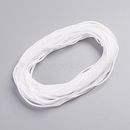 Hollow Nylon Braided Rope, for Camping, Outdoor Adventure, Gardening, White, 4mm, 20m/bundle(NWIR-WH0009-19C)