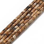 Natural Picture Jasper Beads Strands, Column, 4.5x4mm, Hole: 0.6mm, about 100pcs/strand, 14.96''(38cm)(G-I326-09)