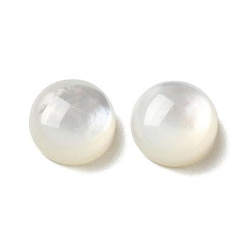 Natural White Shell Cabochons, Half Round/Dome, WhiteSmoke, 8x3.5mm