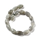 Natural Labradorite Beads Strands(G-P520-C08-01)-3