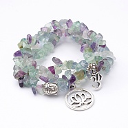 Natural Fluorite Stretch Bracelet Sets, with Tibetan Style Alloy Pendants, Antique Silver, 2 inch(48mm)~2-1/8 inch(53mm)(X-BJEW-JB02621)
