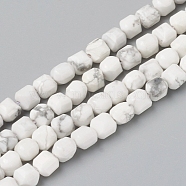 Natural Howlite Beads Strands, Faceted, Cube, 6~6.5x6~6.5x6.5mm, Hole: 1mm, about 62pcs/strand, 14.8 inch(37.6cm)(G-I270-09)