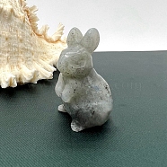 Natural Labradorite Carved Healing Rabbit Figurines, Reiki Energy Stone Display Decorations, 50mm(PW-WG98684-02)