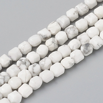 Natural Howlite Beads Strands, Faceted, Cube, 6~6.5x6~6.5x6.5mm, Hole: 1mm, about 62pcs/strand, 14.8 inch(37.6cm)