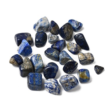 Natural Lapis Lazuli Beads(G-O029-08V)-2