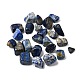 Natural Lapis Lazuli Beads(G-O029-08V)-2