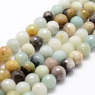 Natural Flower Amazonite Beads Strands, Faceted, Round, 10mm, Hole: 1mm, about 37pcs/strand, 14.9 inch~15.1 inch(G-D840-24-10mm)