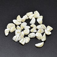 Dyed Natural Shell Nuggets Chips Beads, Beige, 9~14x6~10mm, Hole: 1mm, about 560pcs/500g(BSHE-O007-03E)