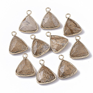 Natural Picture Jasper Pendants, with Golden Tone Brass Open Back Bezel, Faceted, Triangle, 19x16x6mm, Hole: 2mm(G-S359-029D)