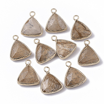 Natural Picture Jasper Pendants, with Golden Tone Brass Open Back Bezel, Faceted, Triangle, 19x16x6mm, Hole: 2mm