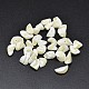 Dyed Natural Shell Nuggets Chips Beads(BSHE-O007-03E)-1