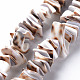 Natural Tiger Cowrie Shell Bead Strands(SSHEL-N304-103)-1