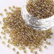 Round Glass Seed Beads, Transparent Colours Rainbow, Round, Goldenrod, 2mm(SEED-A007-2mm-162B)