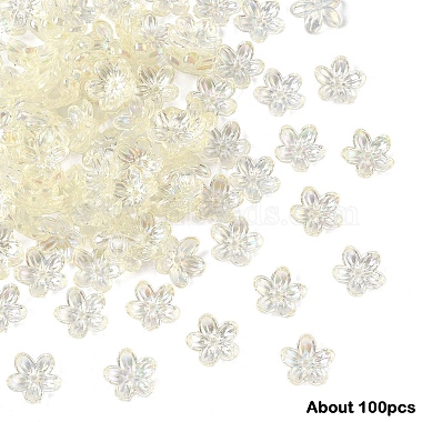 15g transparente Acrylperlenkappen(TACR-YW0003-07E)-1