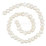 DIY Jewelry Making Kit, Including Natural Cultured Freshwater Pearl Beads Strands, Nylon Cord, Steel Big Eye Beading Needles, Seashell Color(DIY-HS0001-96)
