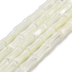 Natural Trochid Shell/Trochus Shell Beads Strands, Bamboo Joint, WhiteSmoke, 12x4.8mm, Hole: 0.6mm, about 33pcs/strand, 15.35''(39cm)(BSHE-G038-03)