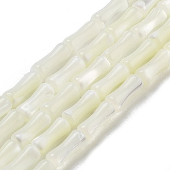 Natural Trochid Shell/Trochus Shell Beads Strands, Bamboo Joint, WhiteSmoke, 12x4.8mm, Hole: 0.6mm, about 33pcs/strand, 15.35''(39cm)