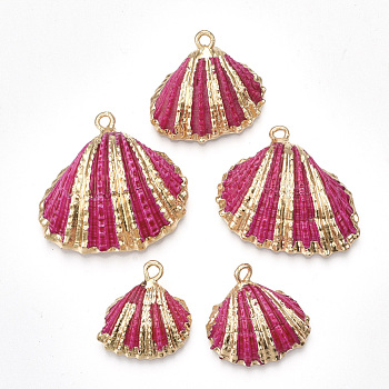 Spray Paint & Electroplate Sea Shell Pendants, with Iron Findings, Light Gold, Medium Violet Red, 18~30x20~30x7~11mm, Hole: 2mm