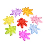 Transparent Acrylic Beads, Leaf, Mixed Color,23.2x20x3mm, Hole: 2.5mm(X-PL711Y)