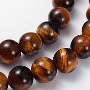 Gemstone Beads Strands, Grade AB+ Tiger Eye, Round, about 8mm in diameter, hole: about 1mm, 15~16 inch(GSR014)