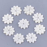 Carved Natural Freshwater Shell Beads, Flower, Ivory, 20x19x2.5mm, Hole: 1.5mm(X-SHEL-T012-52)
