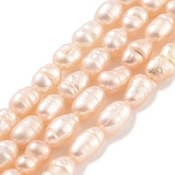 Natural Cultured Freshwater Pearl Beads Strands, Rice, Grade A+, PeachPuff, 2.8~3.2mm, Hole: 0.3mm, about 31pcs/strand, 6.69''~6.89''(17~17.5cm)(PEAR-P062-01B)