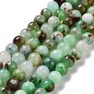 Natural Chrysoprase Beads Strands, Round, Grade AB, 6mm, Hole: 0.9mm, about 66~67pcs/strand, 15.55~15.67 inch(39.5~39.8cm)(G-G057-A01-03)