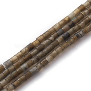 Natural Larvikite Beads Strands, Column, 2x2mm, Hole: 0.8mm, about 154~160pcs/strand, 15.16~15.75 inch(38.5~40cm)(G-H255-18)