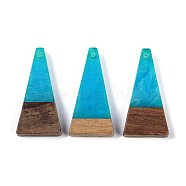 Resin & Wood Pendants, Triangle Charms, Dodger Blue, 28.5x14x3.5mm, Hole: 1.6mm(WOOD-F015-03D)