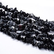 Natural Snowflake Obsidian Beads Strands, Chips, 5~8x5~8mm, Hole: 1mm, about 31.5 inch(G-O049-B-44)